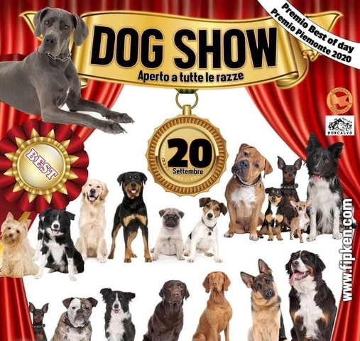 Moncalvo | Dog Show